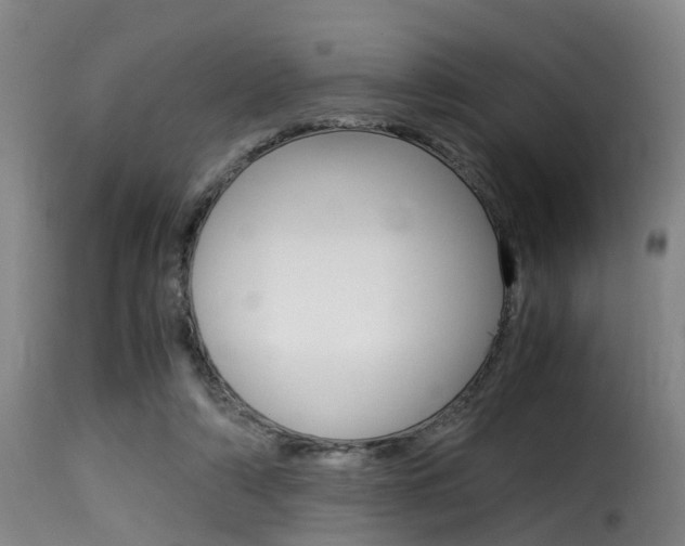 X0000116000306200911191220