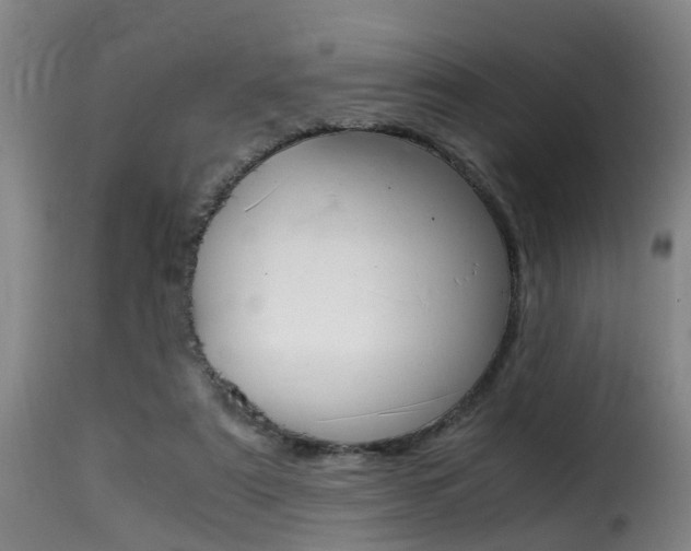 X0000116000307200911191220