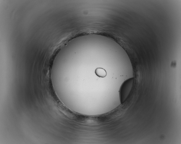 X0000116000308200911191220