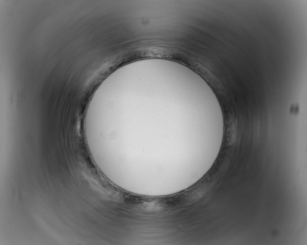 X0000116000310200911191220