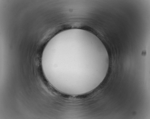 X0000116000311200911191220