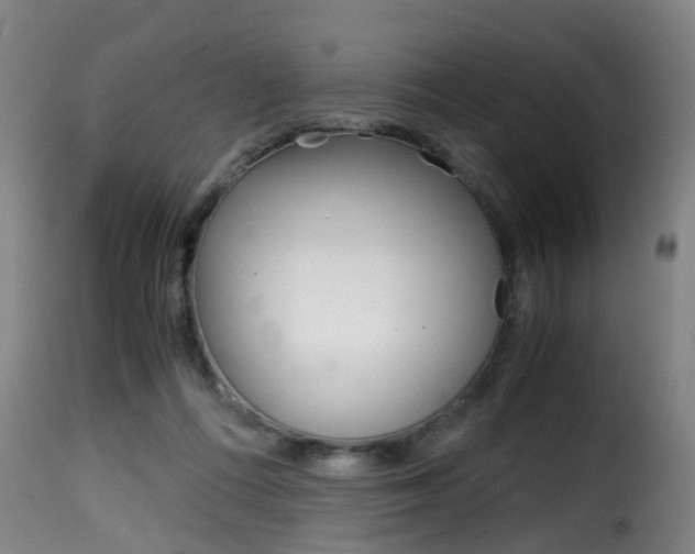 X0000116000312200911191220