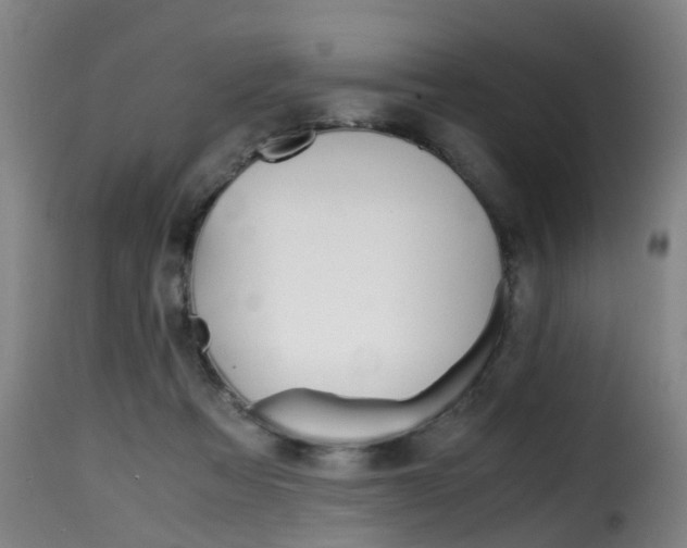 X0000116000313200911191220