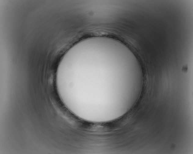 X0000116000315200911191220