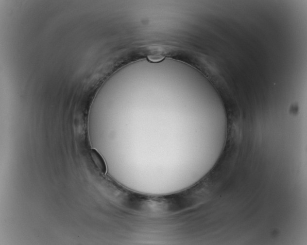 X0000116000317200911191220