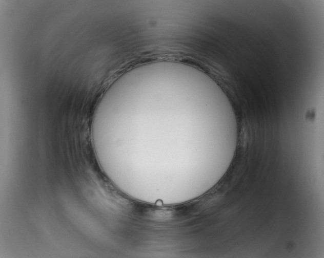 X0000116000318200911191220