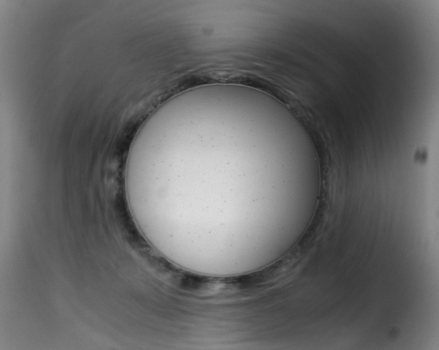 X0000116000319200911191220