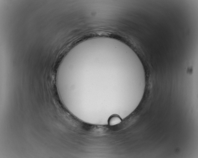 X0000116000321200911191220