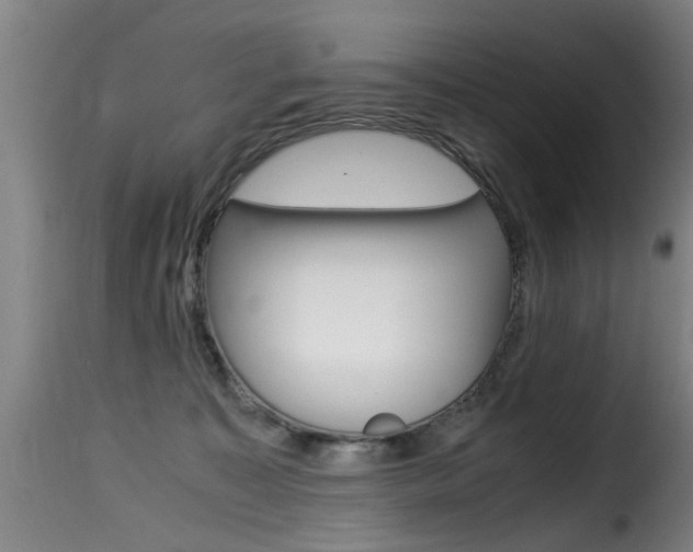 X0000116000323200911191220