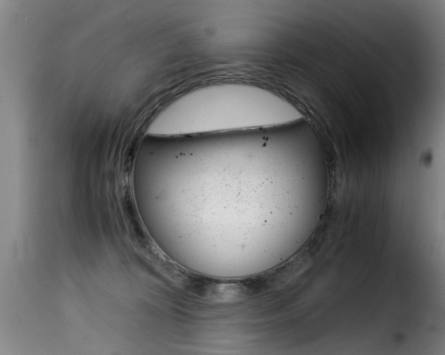 X0000116000324200911191220