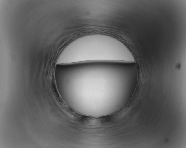 X0000116000325200911191220