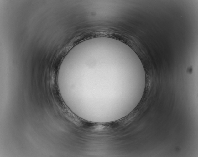 X0000116000326200911191220