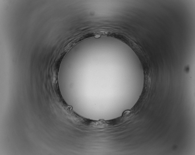 X0000116000331200911191220