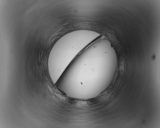 X0000116000332200911191220