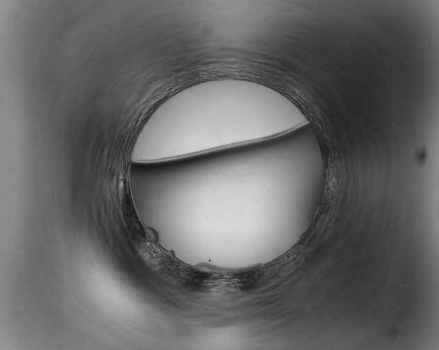 X0000116000333200911191220