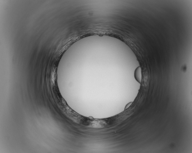 X0000116000334200911191220