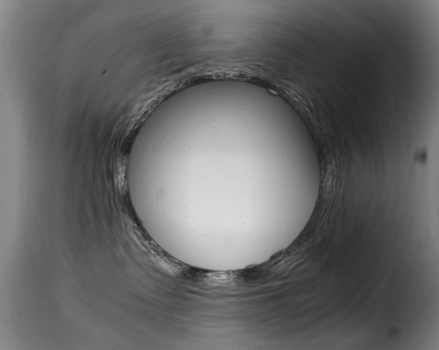 X0000116000335200911191220