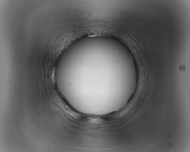 X0000116000336200911191220