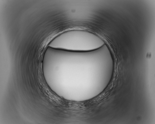 X0000116000337200911191219