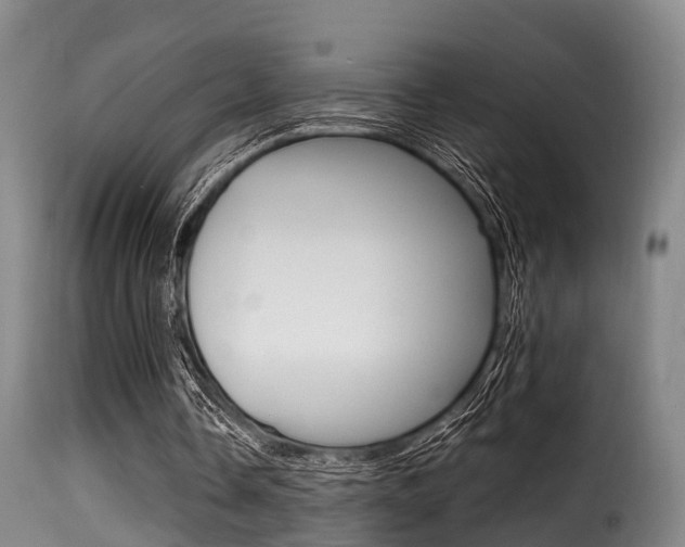 X0000116000338200911191219