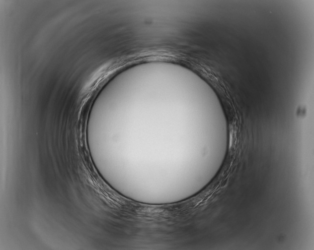 X0000116000339200911191219