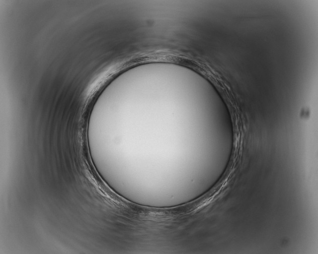 X0000116000341200911191219