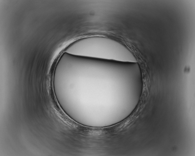 X0000116000342200911191219