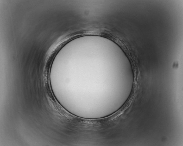 X0000116000343200911191219