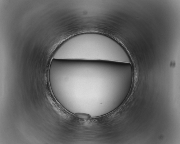 X0000116000345200911191219