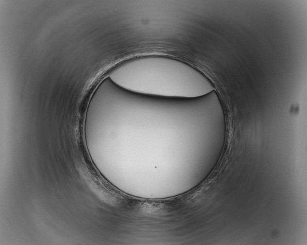 X0000116000346200911191219