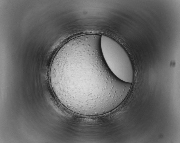 X0000116000347200911191219