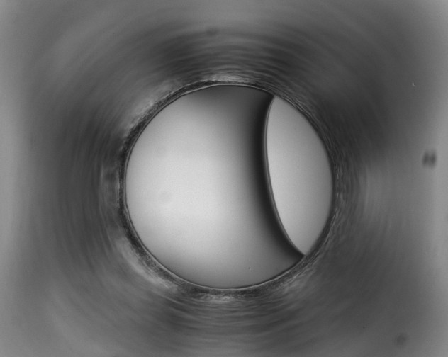 X0000116000349200911191219