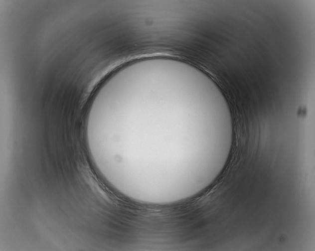 X0000116000350200911191219