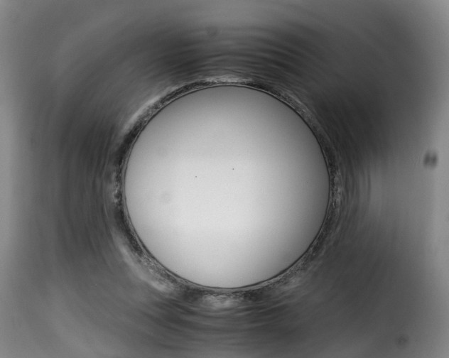 X0000116000351200911191219