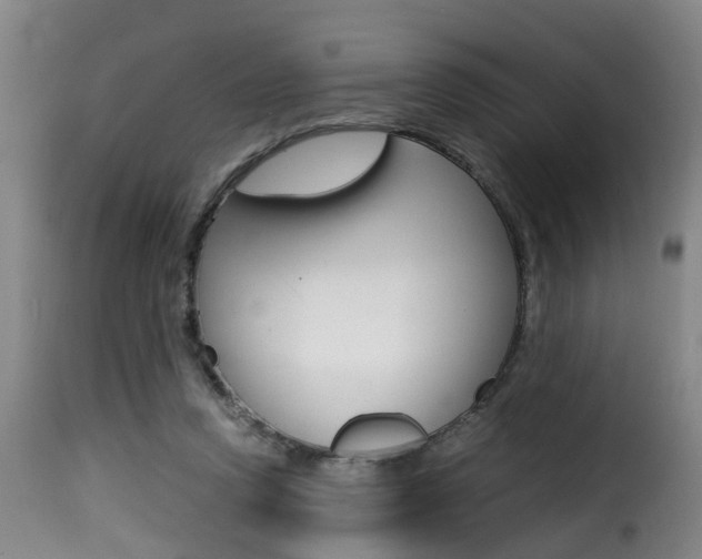 X0000116000354200911191219