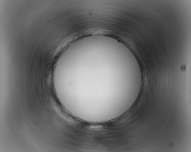 X0000116000357200911191219