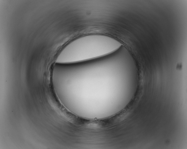 X0000116000358200911191219