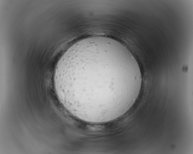 X0000116000359200911191219