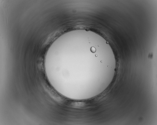 X0000116000361200911191219