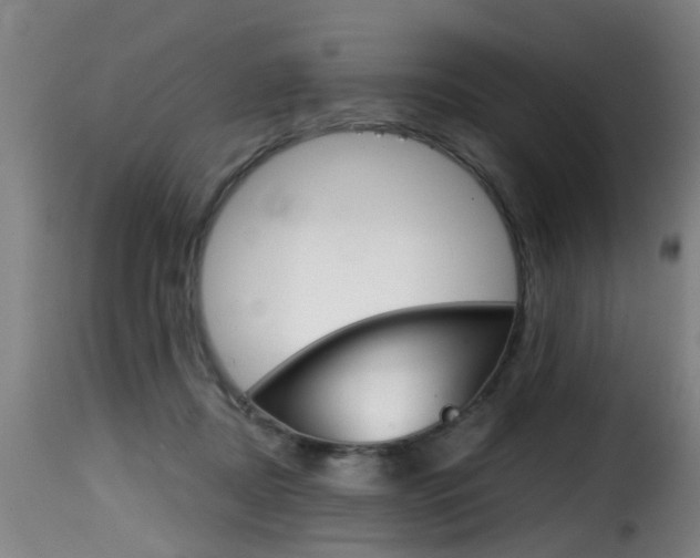 X0000116000362200911191219