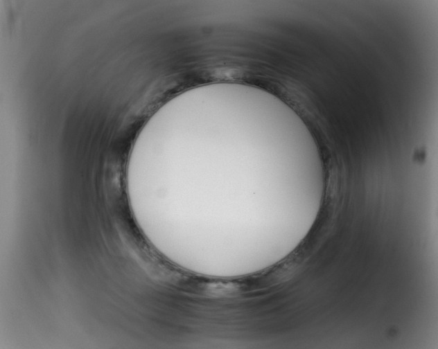 X0000116000363200911191219