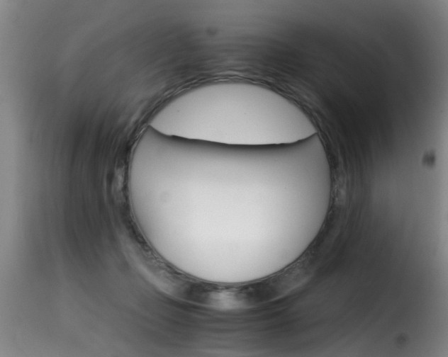 X0000116000365200911191219