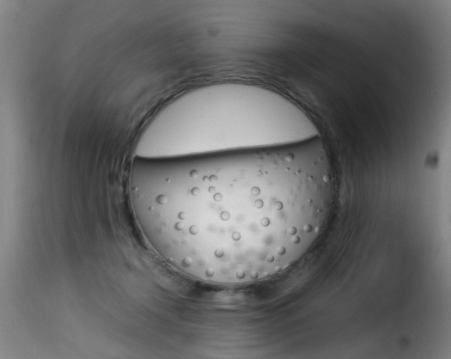 X0000116000366200911191219