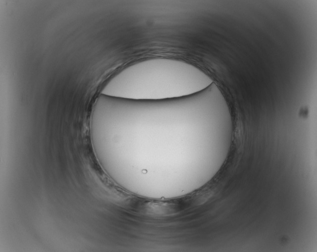 X0000116000367200911191219