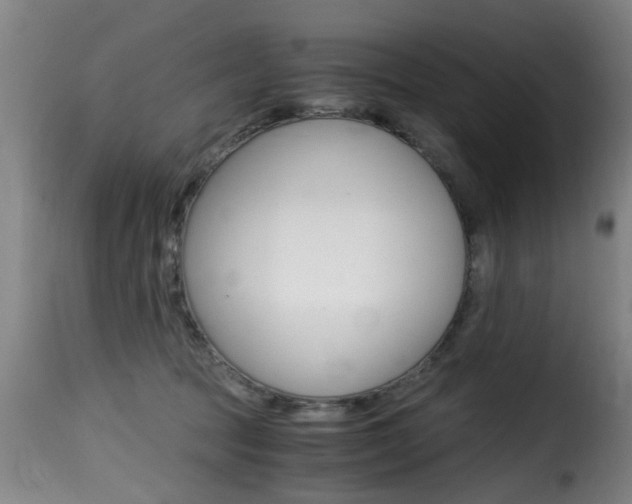 X0000116000369200911191219