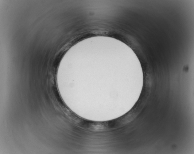 X0000116000370200911191219