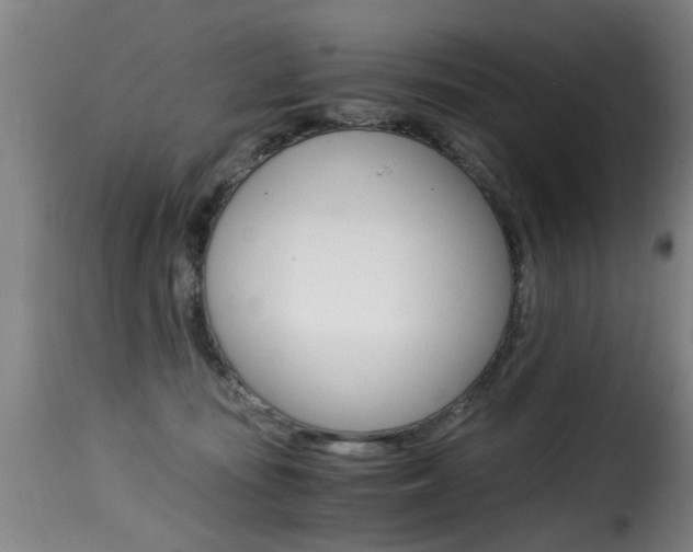 X0000116000371200911191219