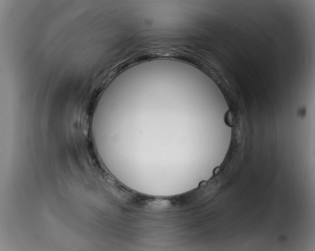 X0000116000374200911191219