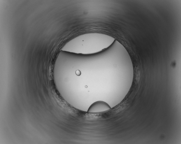 X0000116000378200911191219