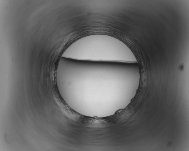 X0000116000379200911191220